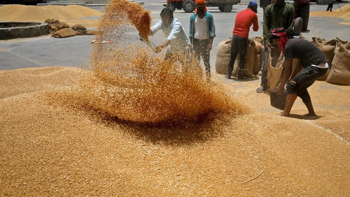 Geopolitical crisis, weather may help India export 2 mt of wheat, says USDA