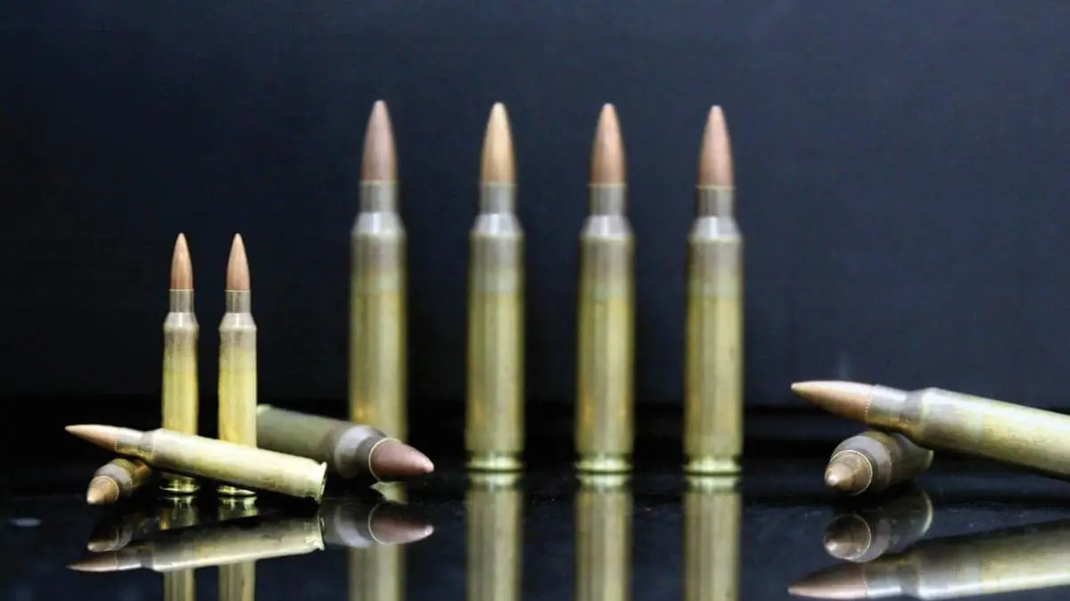 Adani’s strategic move to align with MoD policy to make India atmanirbhar in ammunitions