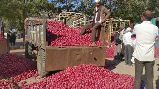 A farmer sits on a tractor trolley after auctioning his onions at Lasalgaon market in Nashik, Maharashtra, India.