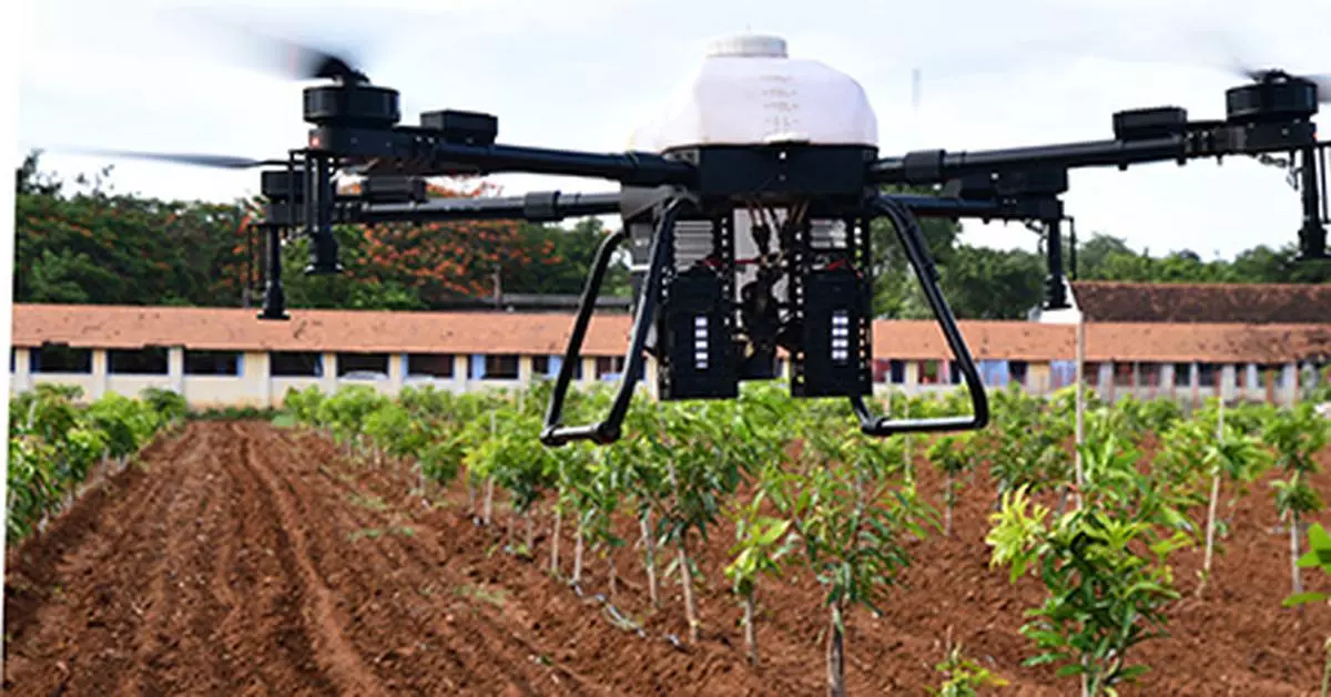 
The use of drone to spray pesticides 