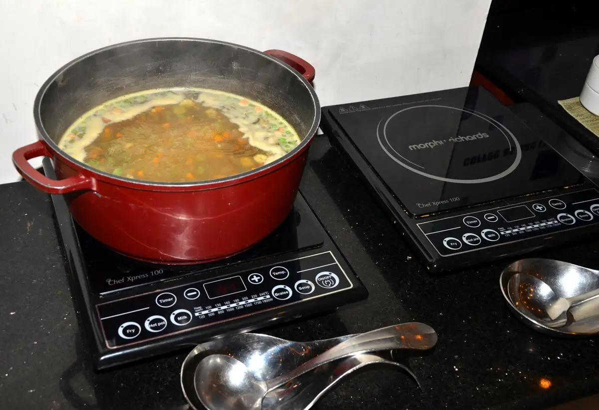 thehindubusinessline.com - SWELECT Energy launches solar powered cooking solution for induction stoves