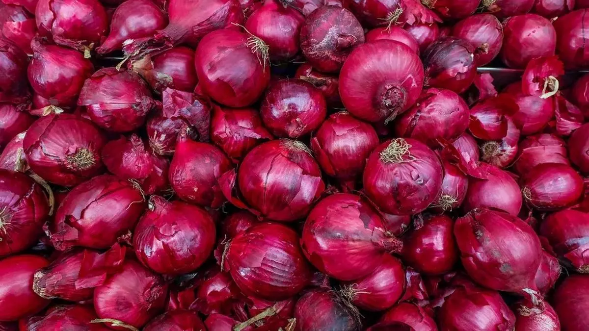 India lifts export ban on onion, puts $550/ton minimum export price