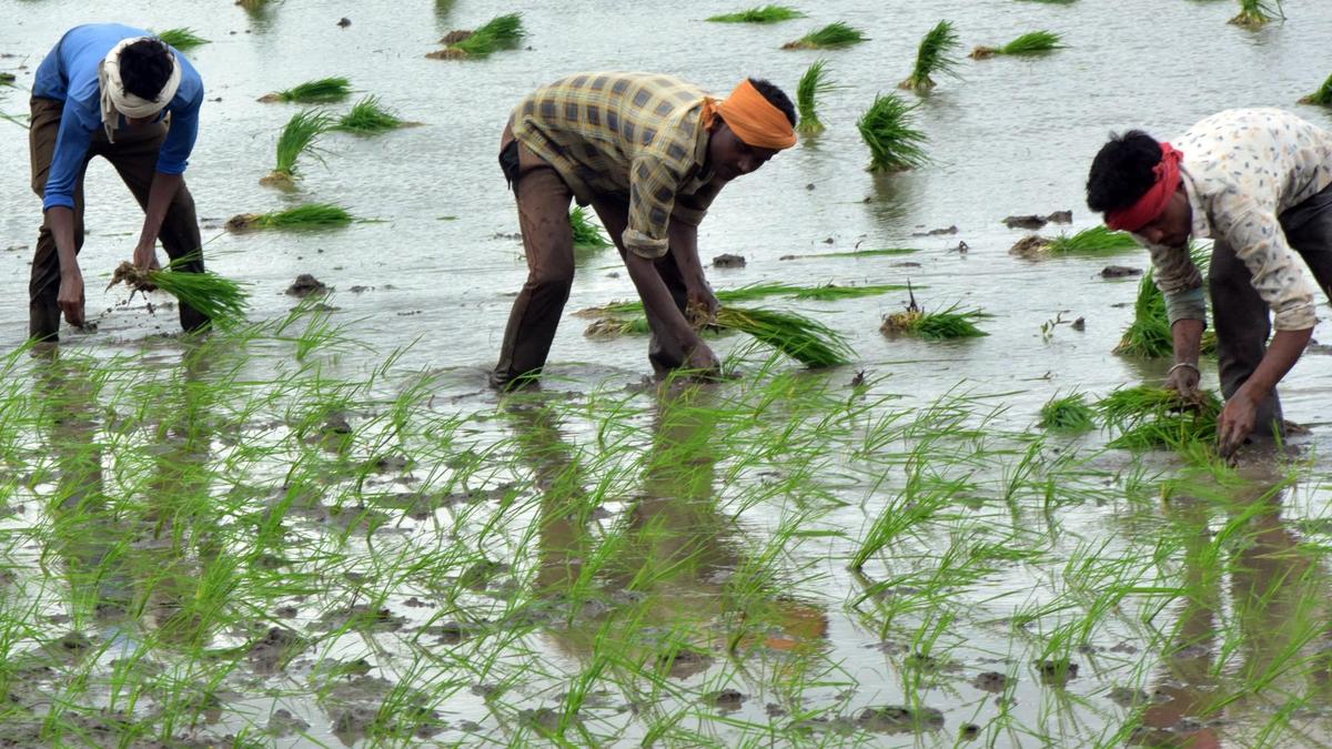 PM-Kisan: From income support to digital agriculture leadership