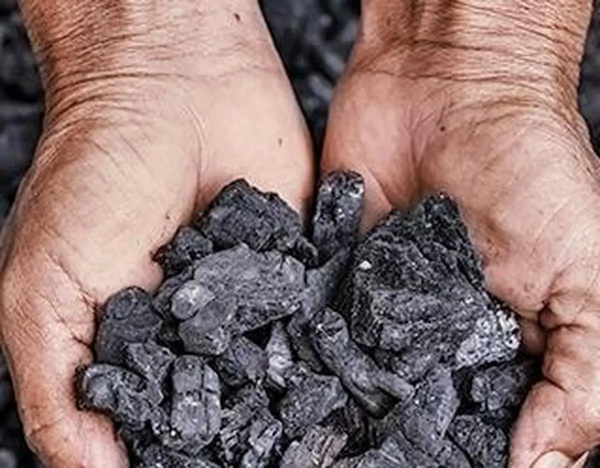 thehindubusinessline.com - Coal India reports 1.2% increase in production in November at 68 mt