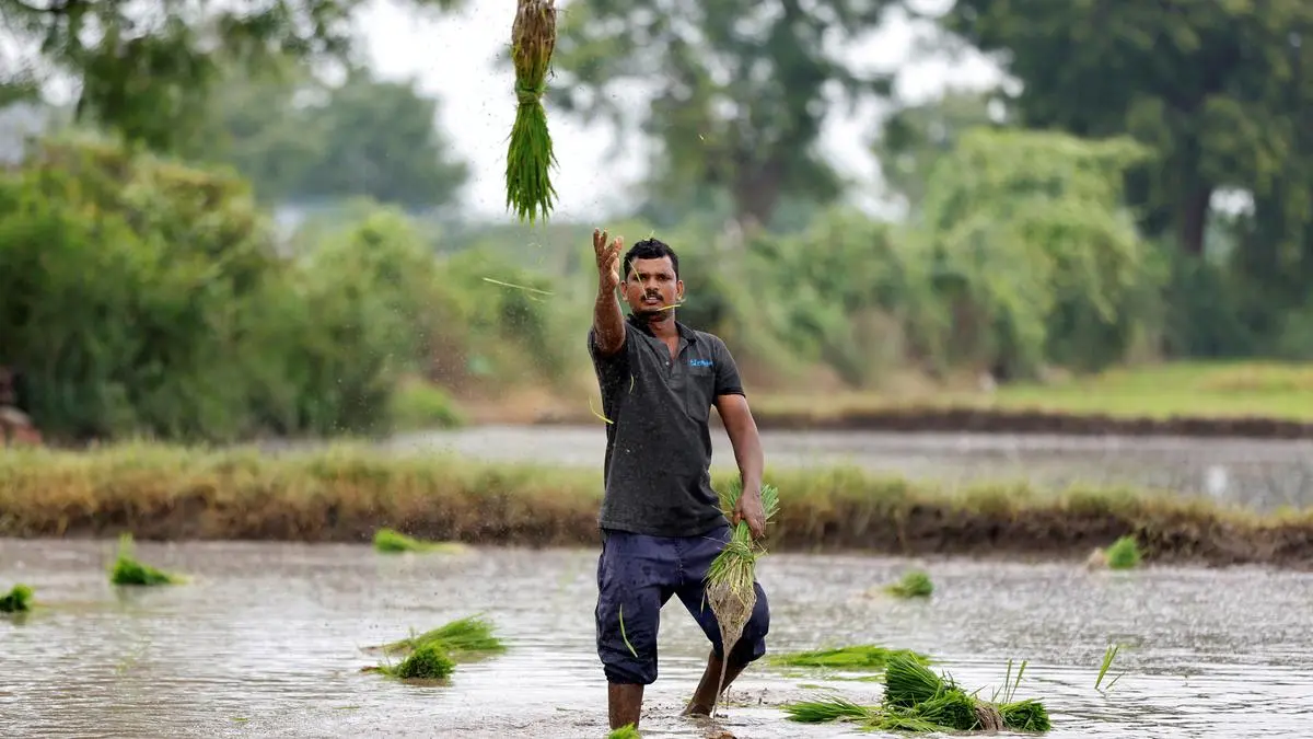 India to see timely kharif sowing on improved rain forecast by IMD: ICRA