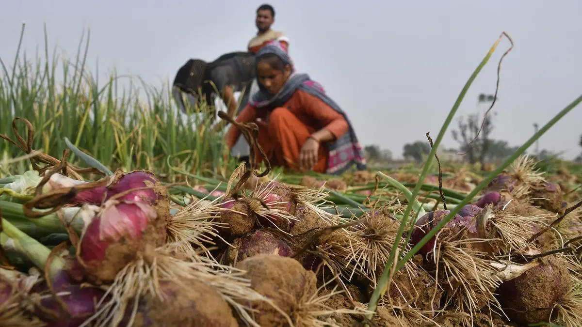Rajasthan Government Signs MoU With Wadhwani AI for Agriculture