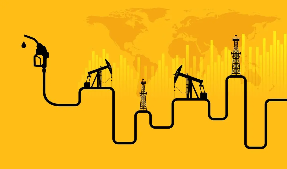 thehindubusinessline.com - Crude oil shock deepens market jitters as Hormuz crisis hits India's macro outlook