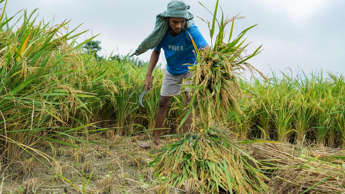 The agri stack revolution? — GLOBAL — ERYU PROJECT