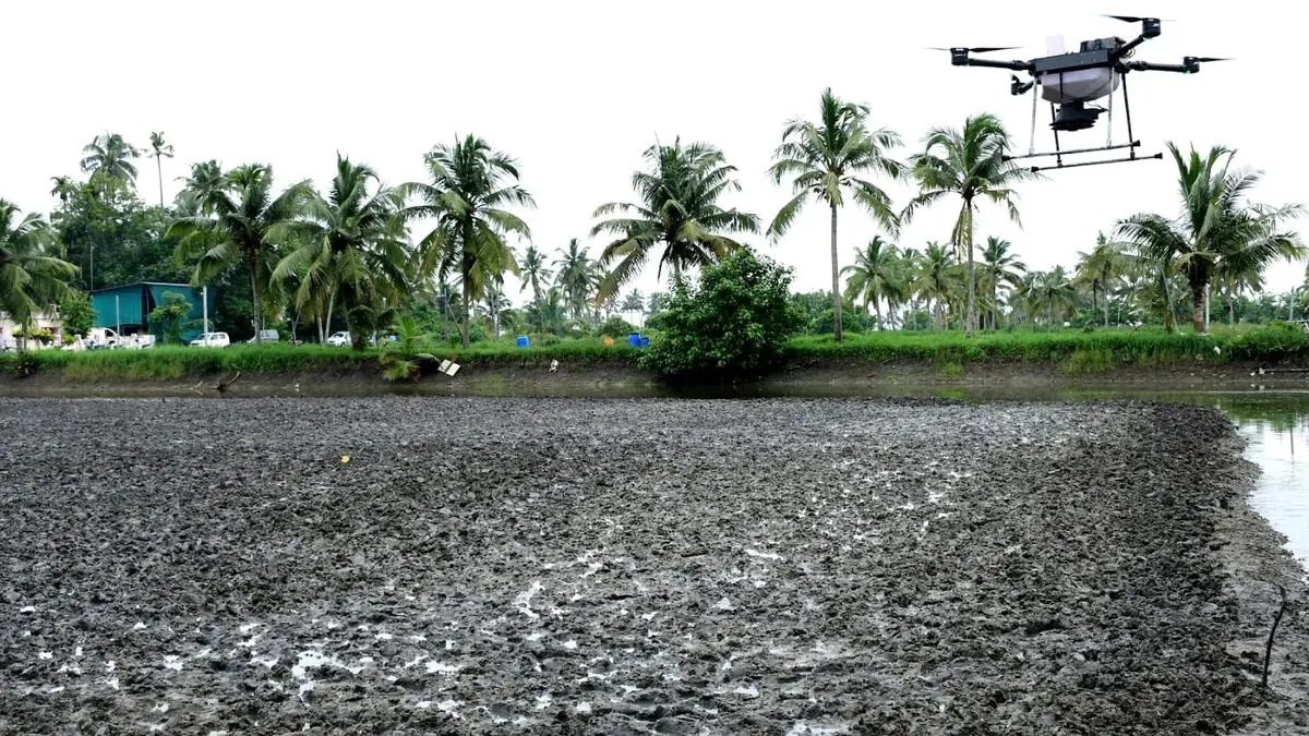 Kerala Agri Varsity conduct drone-based sowing in Kumbalangi paddy fields