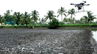 Kerala Agricultural University conducts successful drone-based seed sowing trial in waterlogged paddy fields, revolutionising traditional agriculture.