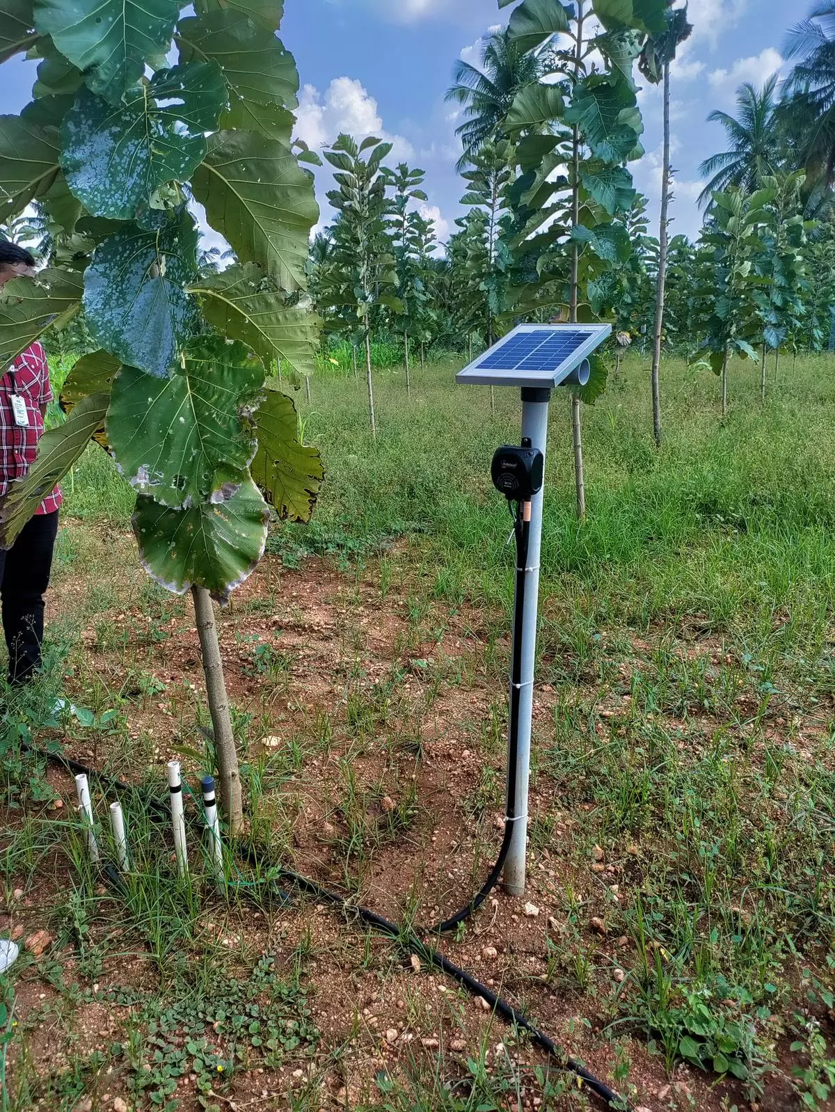 A solar-powered wireless transmitter for irrigation control