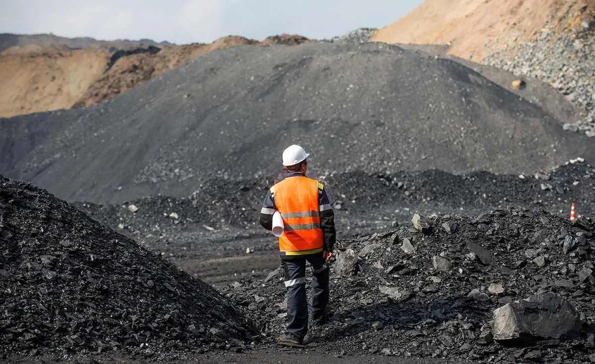thehindubusinessline.com - Coal imports likely to remain subdued in near term
