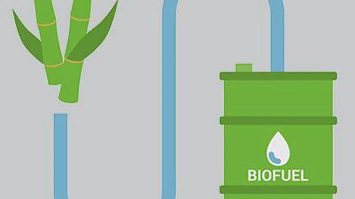Why bio-CNG is a stubble-burning alternative and protector of clean air