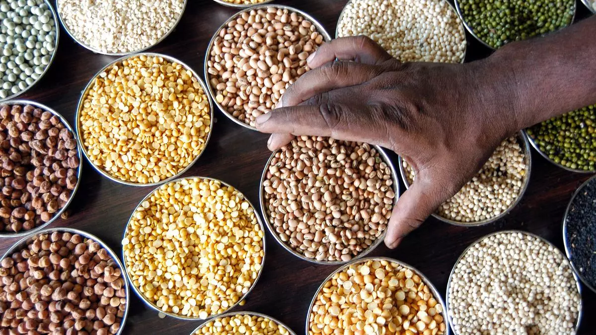 Indian Pulses and Grains Association (IPGA) Delegatory Authorities Hold  Talks with Argentine Minister of Foreign Affairs and International Trade