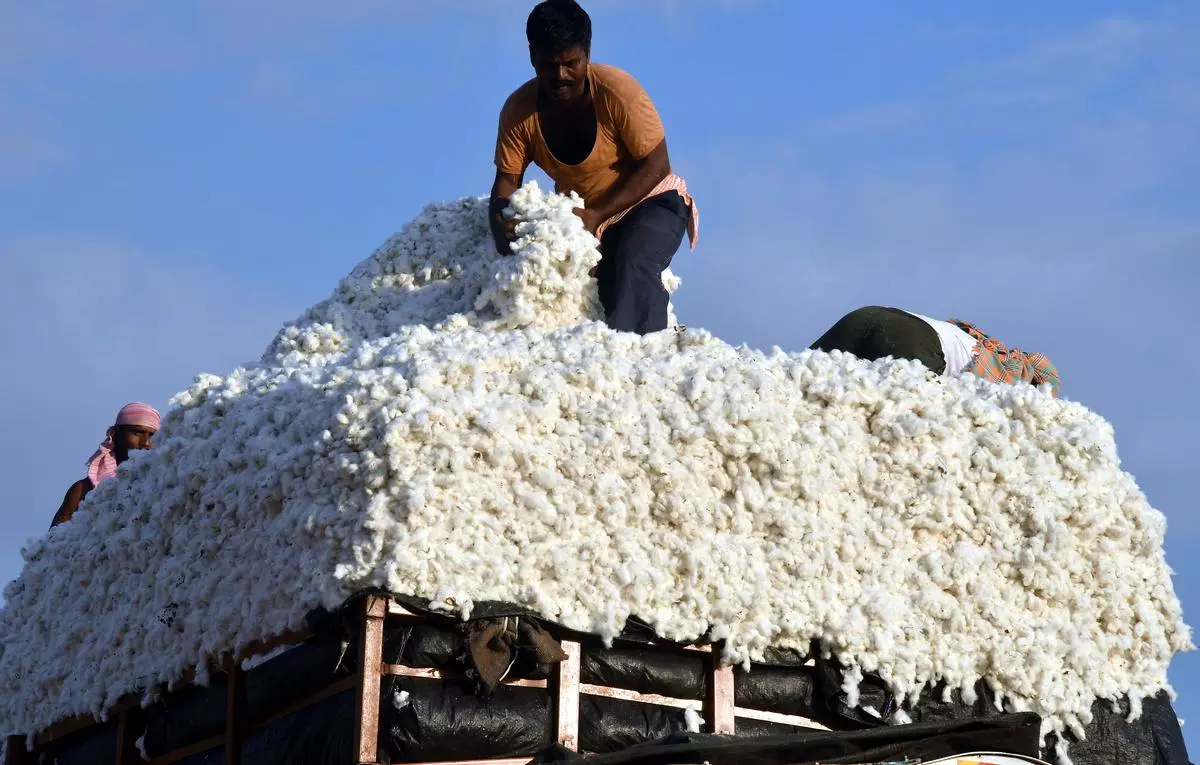 As cotton prices spiral, textile industry urges government to probe limited arrivals in market - The Hindu BusinessLine