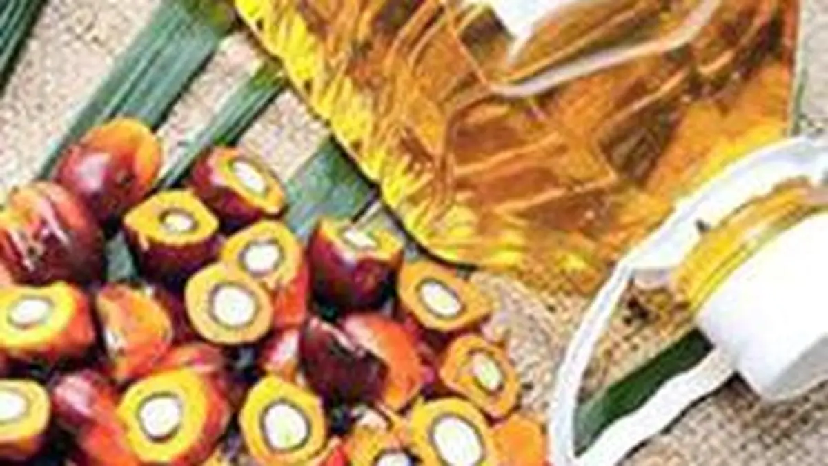 Building a resilient edible oil policy for India