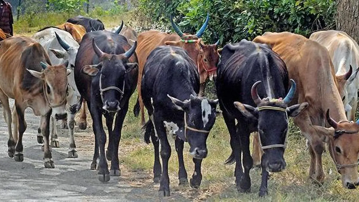 The strongest balance sheet in dairy isn’t financial: It’s farmer trust.