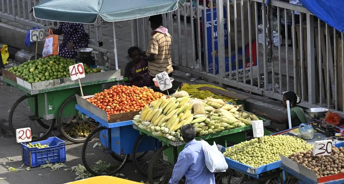 thehindubusinessline.com - Retail inflation rose to 3.48% in April