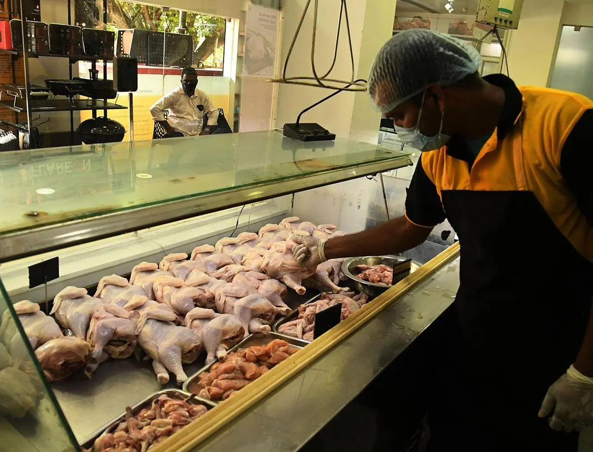 thehindubusinessline.com - Allana Group forms JV with Captain Fresh to retail animal protein products