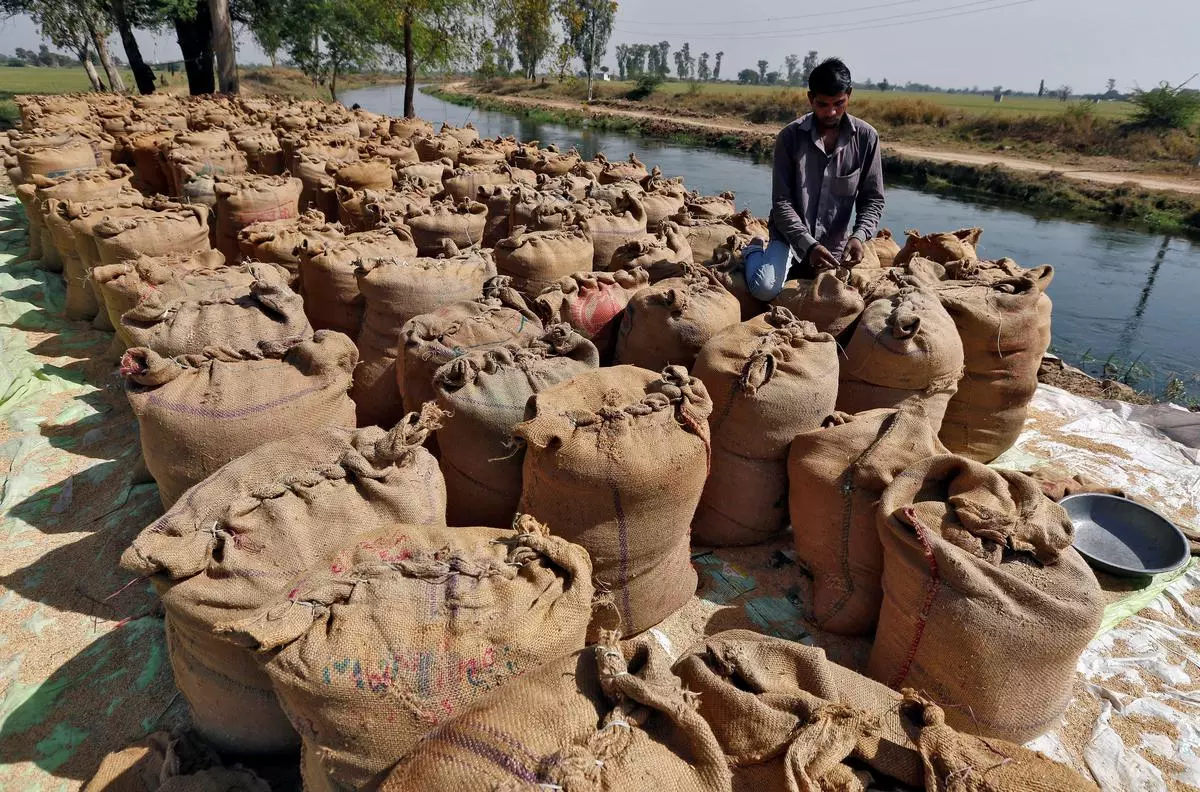 Eksportir India menghubungi utusan Indonesia terkait pembelian beras untuk Bolog