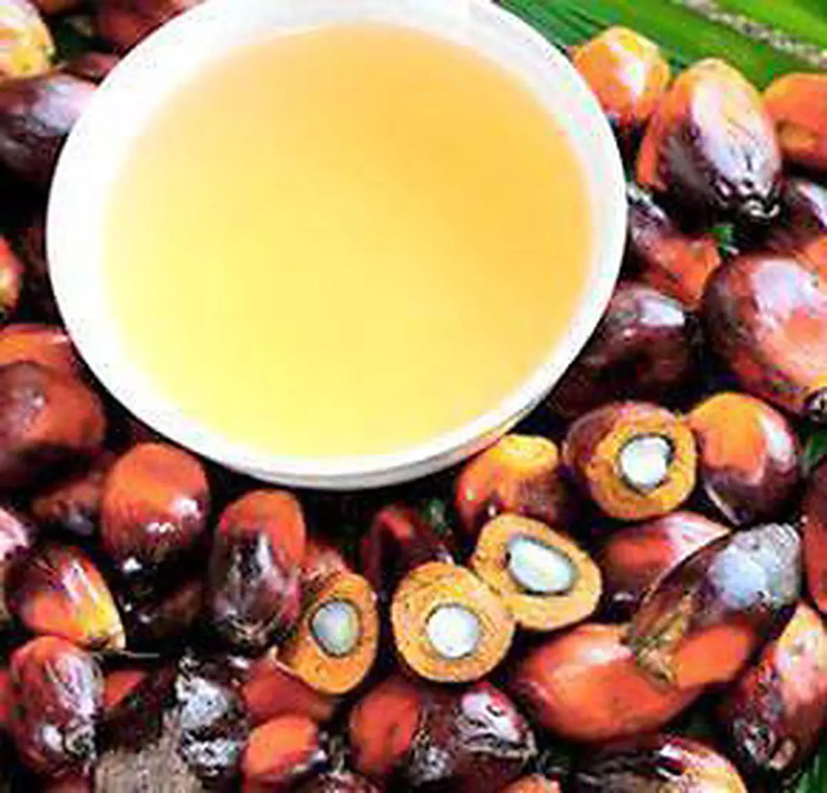 India’s palm oil refining industry is suffering from low capacity utilisation due to excessive import of RBD palmolein (file image)