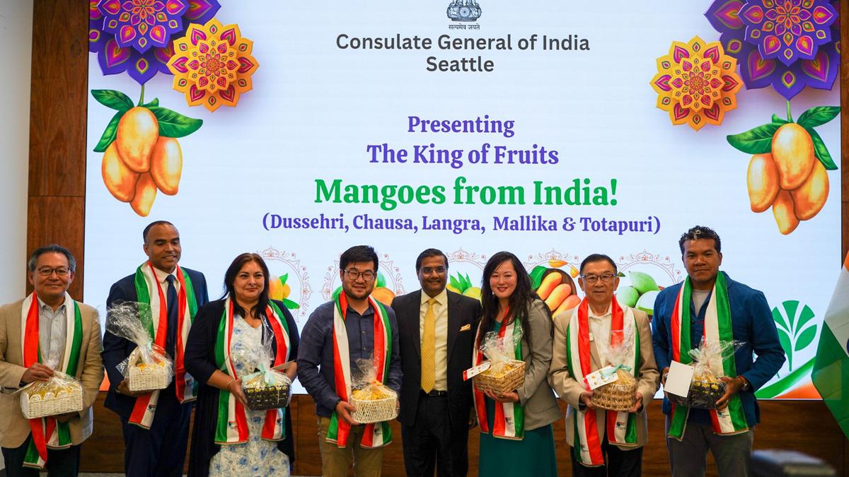 Best of Indian mangoes showcased in Seattle