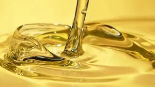 The Indian Vegetable Oil Producers’ Association (IVPA) has urged the government and GST Council to lift the 2022 restriction on refunds of accumulated Input Tax Credit under the inverted duty structure. 