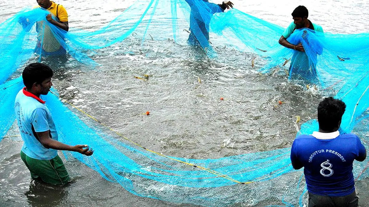 Call to uphold credibility of aquaculture produce to meet global demand