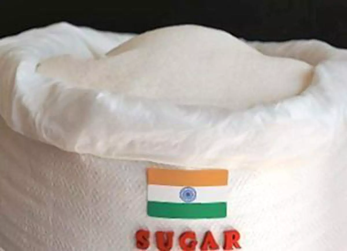 Export of sugar was placed under restricted category from June 1 and is valid until October 31