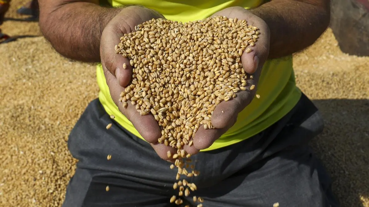 Geopolitics and India’s agricultural strategy