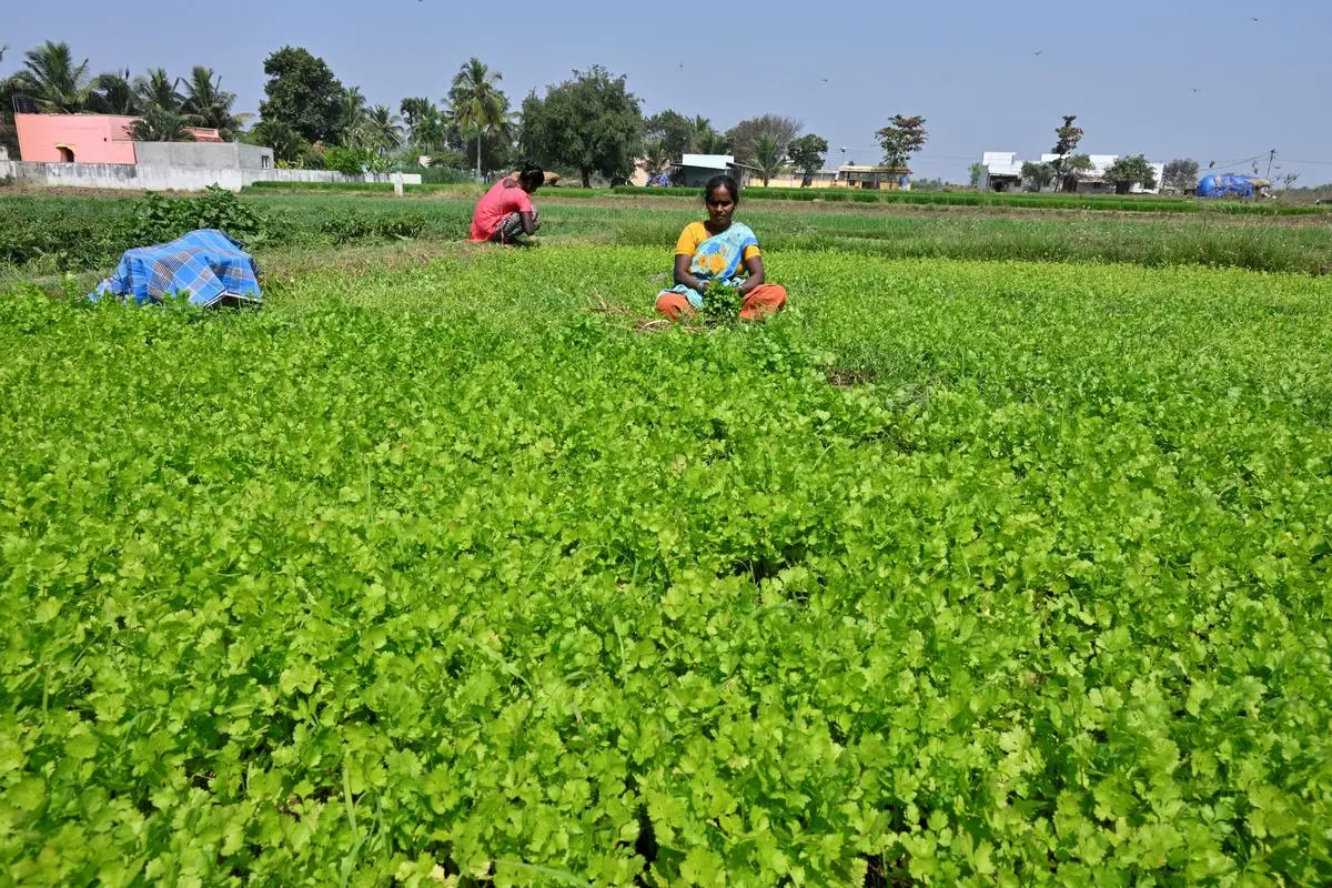 thehindubusinessline.com - ICAR to build national gender platform linking 900 institutions to boost women's role in farming