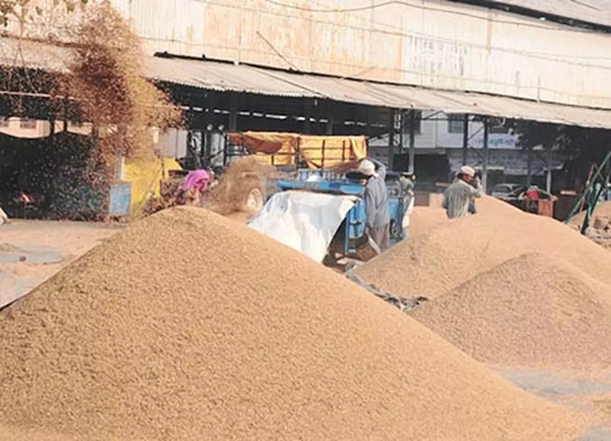 The assessment survey shows that only 3 per cent jowar (in quantity) and maize, 7.5 per cent of potatoes, 5.2 per cent of onions and 2.7 per cent of paddy were disposed of in APMCs (January-June 2019).