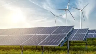 The two nations welcomed the agreement on holding an India-EU Green Hydrogen Forum and the India-EU Business Summit on Offshore Wind Energy