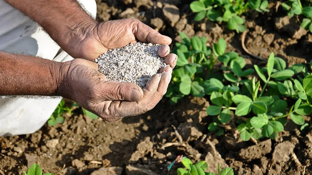 Fertilisers production in April drops, sales higher, import nearly flat