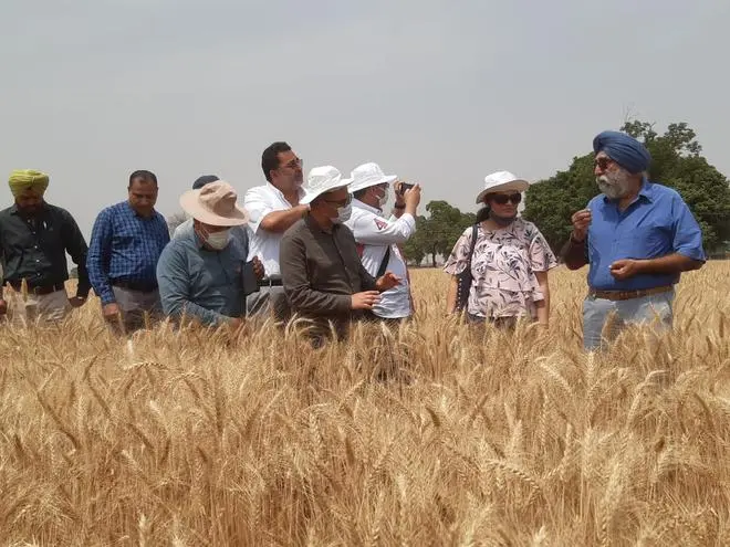 The Egyptian delegation visited facilities of the Punjab Warehouse Corporation on Wednesday The Egyptian delegation visited facilities of the Punjab Warehouse Corporation on Wednesday