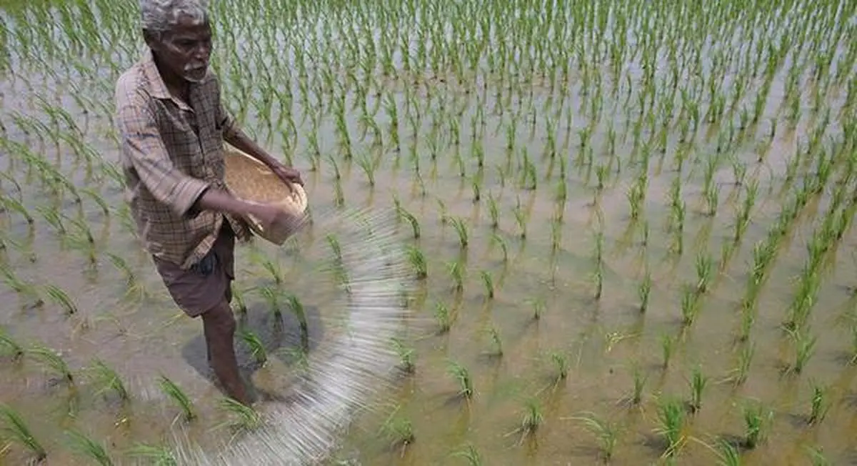 thehindubusinessline.com - Beyond the monsoon: Rethinking insurance for India's new-age farmers