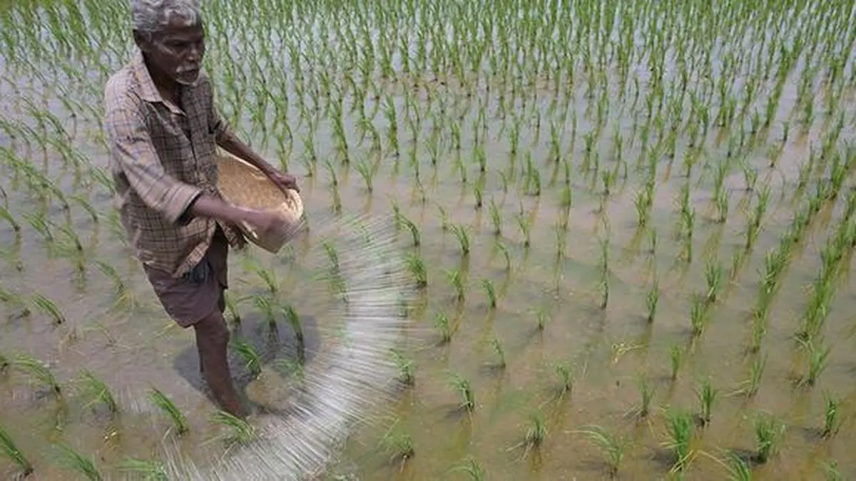 Beyond the monsoon: Rethinking insurance for India’s new-age farmers