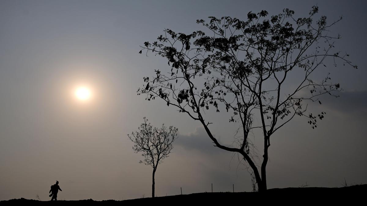 Kerala heatwave alert: CM warns of rising temperatures, issues safety advisory