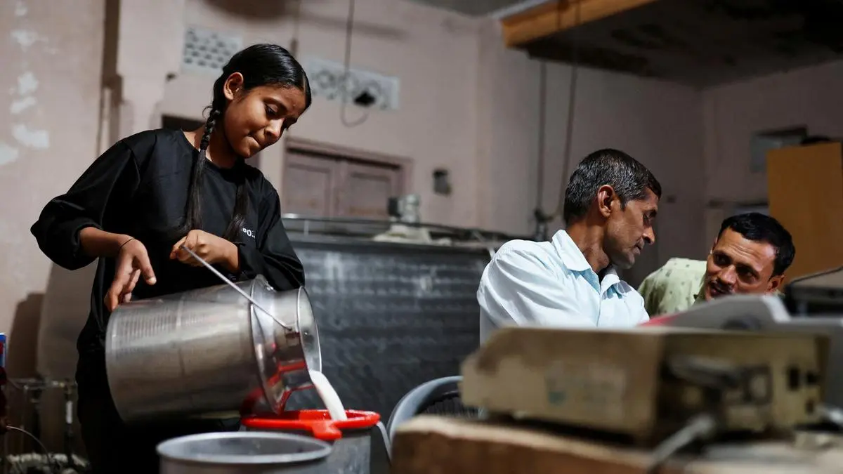 Value-added products drive Heritage Foods profits in 2024-25