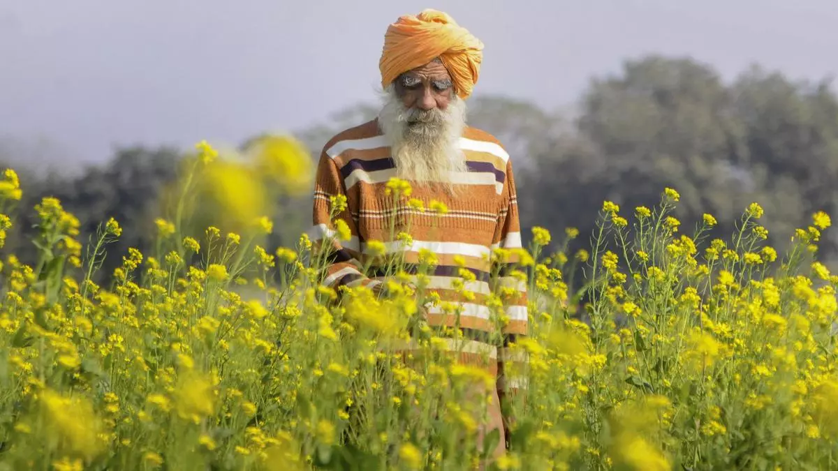 Futures trading good for farmers - The Hindu BusinessLine