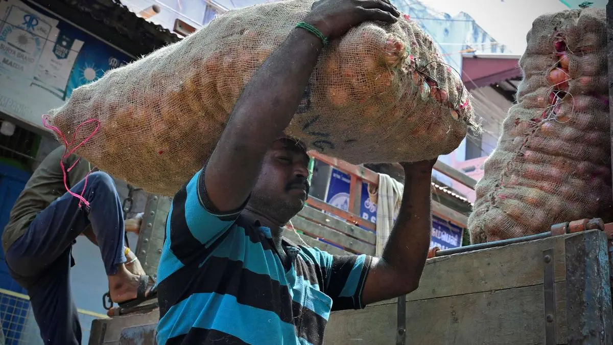 Centre to form stakeholder group as exporters raise alarm over onion market crisis