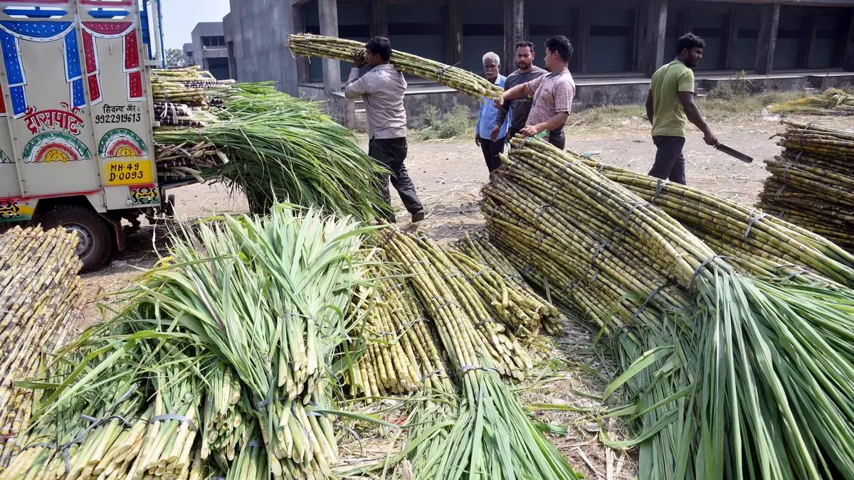 AI-based initiative launched in Ranjangaon to boost sugar...