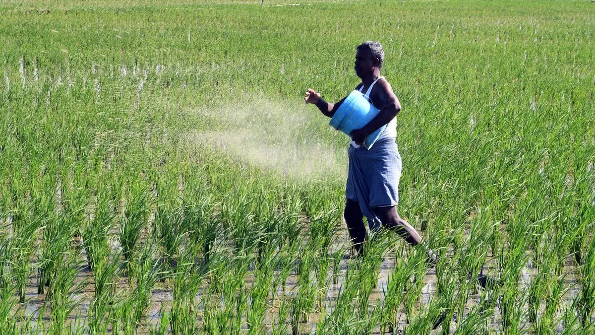 Tamil Nadu Agricultural University secures patent for eco-friendly zinc fertiliser innovation