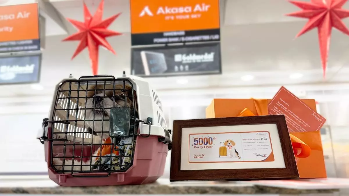 Furry friends take flight as Akasa, Air India tweak policies