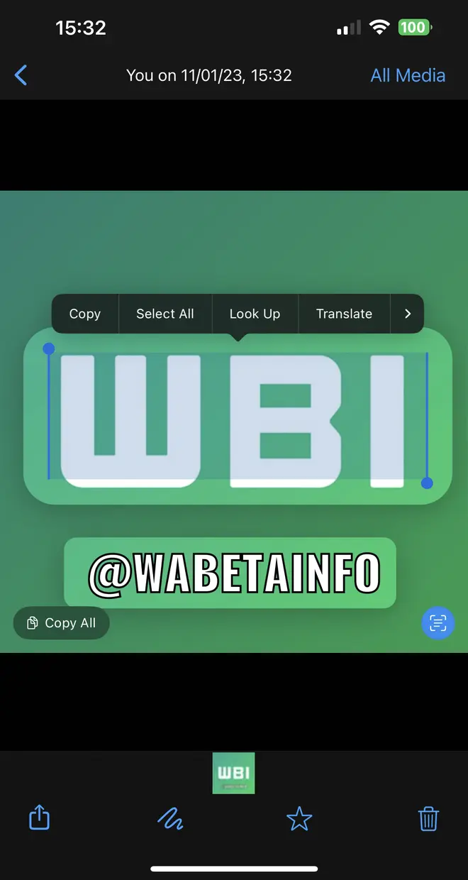 Detect text within images feature on iOS 16 Detect text within images feature on iOS 16