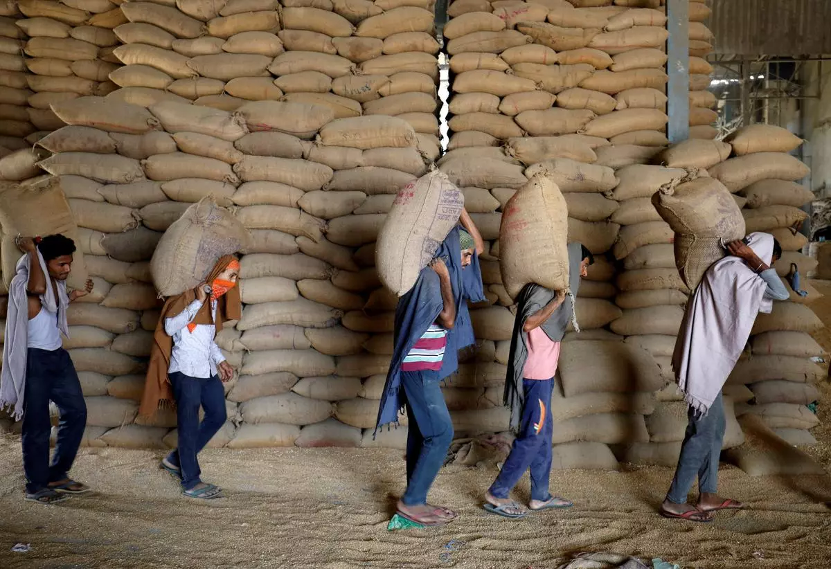 A file photo of workers carry sacks of wheat for sifting at a grain mill on the outskirts of Ahmedabad