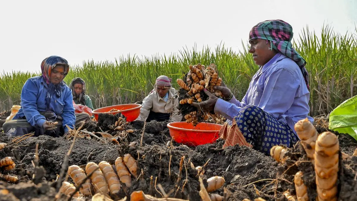 Aligning MSP with the real cost of farming: Lessons from Maharashtra