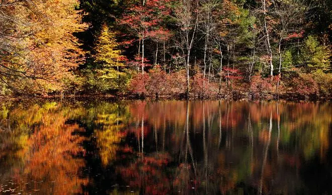 Fall foliage is reflected in the water at Walden Pond in Concord, Massachusetts 