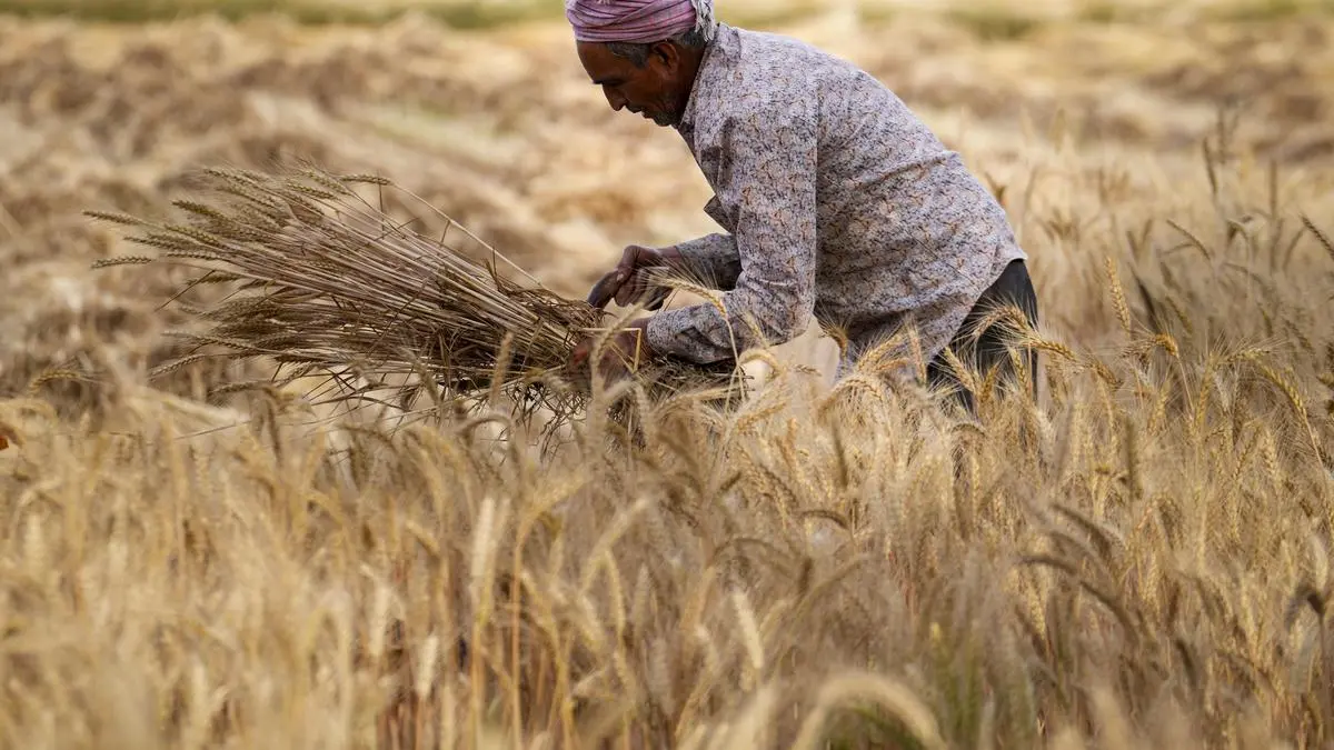 Centre kicks off procurement season with 18,000 tonnes of wheat, targets 303 lakh tonnes