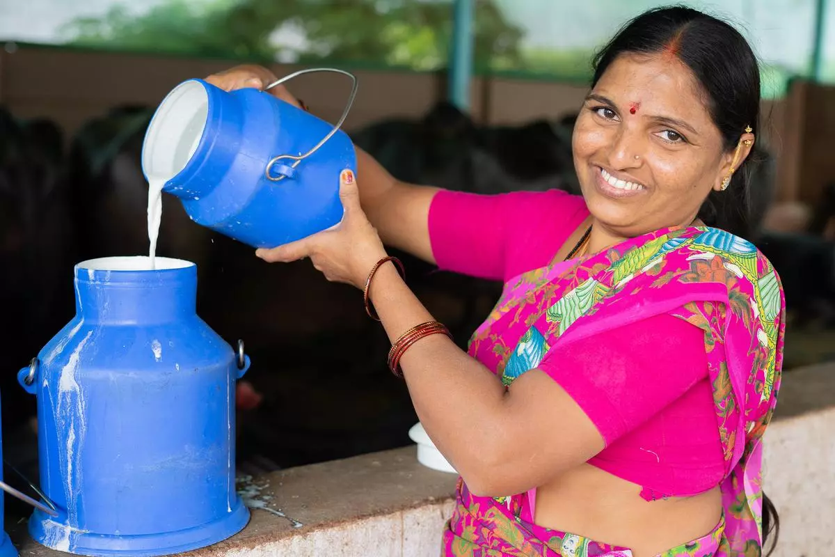 Fresh start: A rechargeable, portable chilling-cum-storage unit can prove a game changer for small-time dairy farmers in rural areas